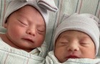 Questi gemellini sono nati in giorni, mesi e anni differenti: il raro e curioso parto di una donna
