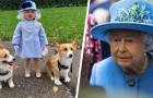 Einjähriges Mädchen verkleidet sich als Königin Elizabeth II: Ihre Majestät antwortet mit einem Brief