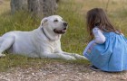 Ganan £1.000.000 y lo primero que hacen es adoptar un perro guía para su hija discapacitada