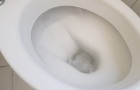 Vorsicht vor dem Abfluss: Gegenstände, die Sie niemals die Toilette hinunterspülen sollten