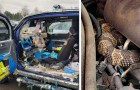 Absurde Autos in der Werkstatt: 17 Fotos, die jeden Mechaniker in Verlegenheit bringen würden