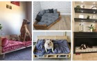 Schaffen Sie eine schöne und bequeme Hundehütte für Ihren Hund: Entdecken Sie diese Do-it-yourself-Projekte!