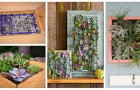 Plantes encadrées sur le mur : découvrez comment réaliser des tableaux avec les plantes succulentes pour décorer vos murs !