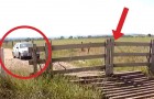 It looks like a normal wooden gate, but wait for the car to approach ... WOW !