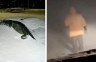 Un homme de 80 ans traverse une tempête de neige pour sauver trois voitures bloquées sur la route