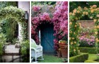 Archi di fiori in giardino: lasciati ispirare da queste idee per passeggiare sotto a una volta fiorita!