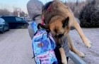 Ze draagt ​​haar oude hond 17 km op haar schouders, weg van de oorlog: 
