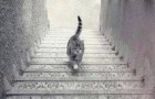 Optische Täuschung: Siehst du die Katze die Treppe hinauf oder hinunter gehen? Die Antwort sagt eine Menge über dich aus
