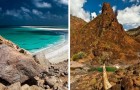 Socotra, la magnifique île reculée, vieille de 6 millions d'années, qui ressemble à un monde extraterrestre