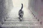Do you see the cat going up or down the stairs? The answer may reveal much about your character