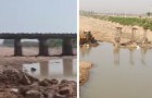 Rubano un ponte di ferro da 500 tonnellate spacciandosi per demolitori: ricercati dalla polizia
