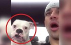 A guy talks to his dog, and THIS is his answer .... WOW !