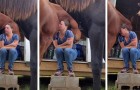 Abatida por el divorcio inminente, una mujer estalla en lágrimas: su caballo la 