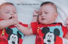 Eineiige Zwillinge bringen ihre Babys innerhalb weniger Stunden auf die Welt