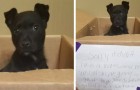 Kind klopt op de deur en rent weg en laat een kartonnen doos achter met de boodschap: “Zoek een thuis voor deze puppy