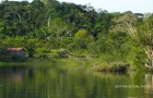 Oud netwerk van verloren steden in de Amazone ontdekt: nieuws dat de geschiedenis verandert