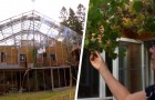 Costruiscono una serra gigante intorno alla casa: 