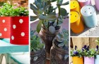 Bocaux en verre et boîtes de conserve : les réutiliser pour accueillir de magnifiques plantes 