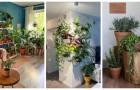 Usa le piante in casa per allestire degli incantevoli angoli verdi