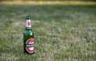 Birra per il giardino: scopri come usarla per prenderti cura del tuo angolo verde
