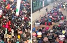 A multitude of travelers found themselves confronted by a mountain of lost suitcases and had to search for their own (+ VIDEO)