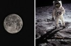 L'Italia andrà sulla Luna: progettato modulo abitativo per il viaggio in collaborazione con la NASA