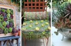 8 giardini in miniatura con le piante grasse che troverai assolutamente irresistibili