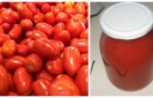 Passata di pomodoro fatta in casa: la ricetta semplice con tutto il gusto della tradizione