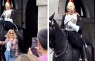 Tourist touches a Queen's guard horse for a photo and the guard reacts harshly: 