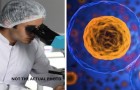 Antikanker nanodeeltjes zijn ontwikkeld die kanker van binnenuit bestrijden zonder het gebruik van medicijnen