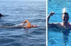 Dieser Schwimmer wäre beinahe von einem Hai angegriffen worden, aber die Delfine haben ihn beschützt
