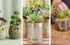 Coltivare le piante succulente: 6 materiali per i vasi e idee per il loro utilizzo