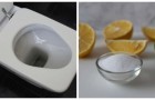 Deodorare tutto il bagno profumando il wc: i trucchi e i prodotti più efficaci