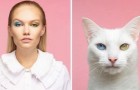 20 Aufnahmen, in denen der Künstler Menschen zusammen mit ihren Tieren fotografiert und ihre Ähnlichkeit hervorhebt