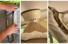 De plafondventilator schoonmaken: een eenvoudige en doeltreffende truc om het in een handomdraai te doen