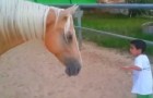 A horse approaches a boy with Williams syndrome: what happens is truly emotional