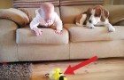 A história de amizade entre um bebê e um cão