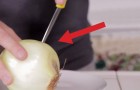 Hace agujeros sobre una cebolla y les muestra un truco utilisimo en la cocina!