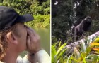 Deze gorilla werd gered en 5 jaar geleden uitgezet in de natuur... wat volgt is een bijzondere reünie tussen de gorilla en zijn verzorger