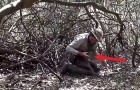 Un explorateur entend des bruits suspects au milieu d'un bois brûlé : son intervention est VITALE
