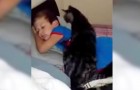 Dit kind komt terug van zomerkamp... de reactie van de kat verbaasd zelfs zijn moeder!