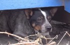He lived in a dumpster for 11 months ... What happens here, will change his life
