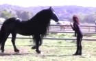 The trainer calls him: this MAGNIFICENT horse will leave you speechless !