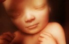 9 maanden zwangerschap in 4 minuten: deze video laat je het wonder van het leven zien