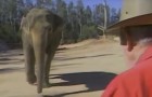 Ein Elefantentrainer trifft seinen Elefanten 15 Jahre später wieder... Seine Reaktion ist unglaublich
