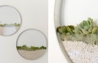 Mini-giardini da parete: una soluzione incantevole per chi ama le piante e il design