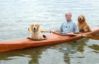 Un uomo costruisce un kayak su misura perché non vuole mai lasciare i suoi cani a casa
