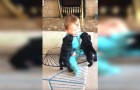 These 2 puppies have never seen a child: now look at his face!