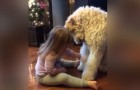 Flickan sätter sig framför hunden: det som de gör förvånar även föräldrarna