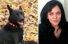 Un cane percorre più di 300 km per tornare dalla donna che gli ha salvato la vita